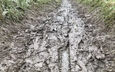 Sunday, muddy Sunday