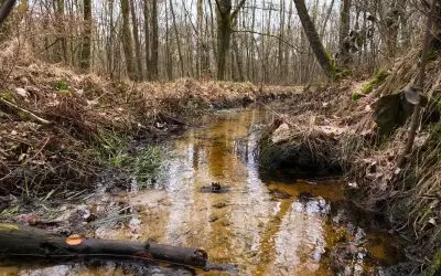 Mit Umwegen zum Nationalpark Hoge Kempen