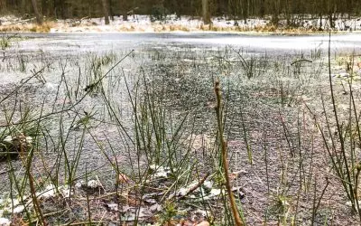 Der letzte Schnee hinter Roermond