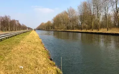 Wald, Wüste und Zink