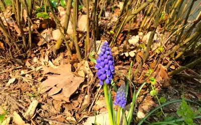 Erste Sonnenstrahlen…