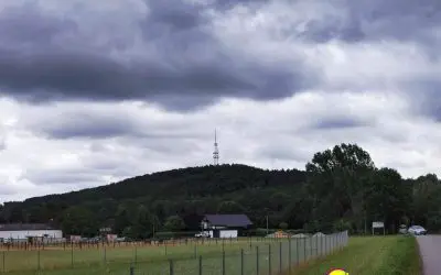 Voll auf der Höhe