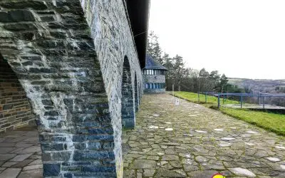 Vogelsang IP