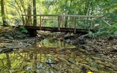 Down by the River