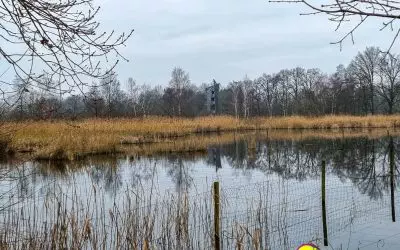 Vlaams Naturreservaat