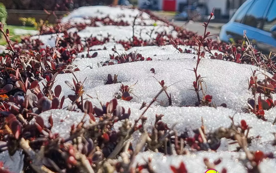 Zülpich und der letzte Schnee