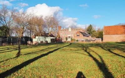 Lange Schatten voraus