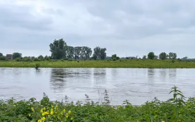 Naturschutzgebiet Meerssen Itteren