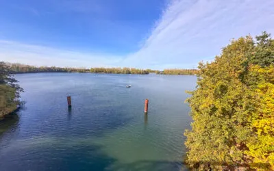 Laufen in der Maasregion: Herbstliche Laufstrecke bei Wessem